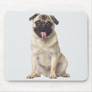 Liefde Pug Puppies Hond Muismat