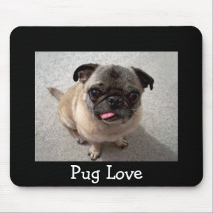 Liefde Pug Puppies Hond Portret Zwart Muismatje Muismat