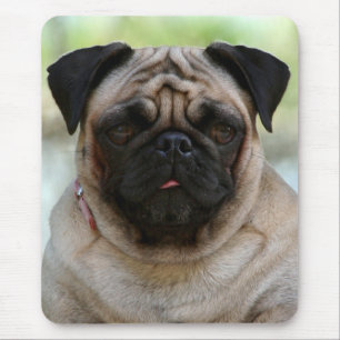 Liefde Pug Puppies Hondenportret Muismat