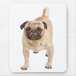 Liefde Pug Puppies Muismat