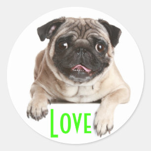 Liefde Pug Puppy Dog Groet Stickers