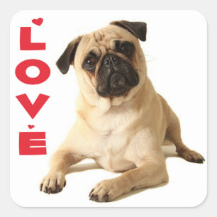 Liefde Pug Puppy Hond - Denkend Aan Jou Vierkante Sticker