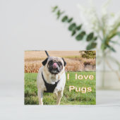 Liefde puggen briefkaart (Staand voorkant)