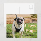 Liefde puggen briefkaart (Voorkant / Achterkant)