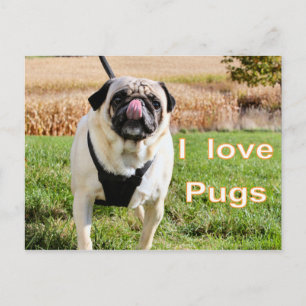 Liefde puggen briefkaart