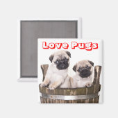 Liefde Pugs Puppy Honden in Houten Barrel Crate Ma Magneet (Voorkant / Achterkant)