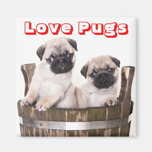 Liefde Pugs Puppy Honden in Houten Barrel Crate Ma Magneet