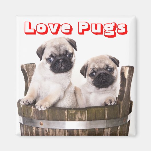 Liefde Pugs Puppy Honden in Houten Barrel Crate Ma Magneet (Voorkant)