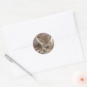 Liefde Quote - Otters Ronde Sticker (Envelop)