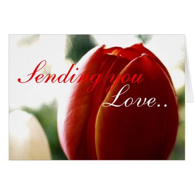 Liefde Rode Tulp Kaart (Voorkant Horizontaal)