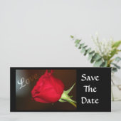 Liefde Roos (Staand voorkant)