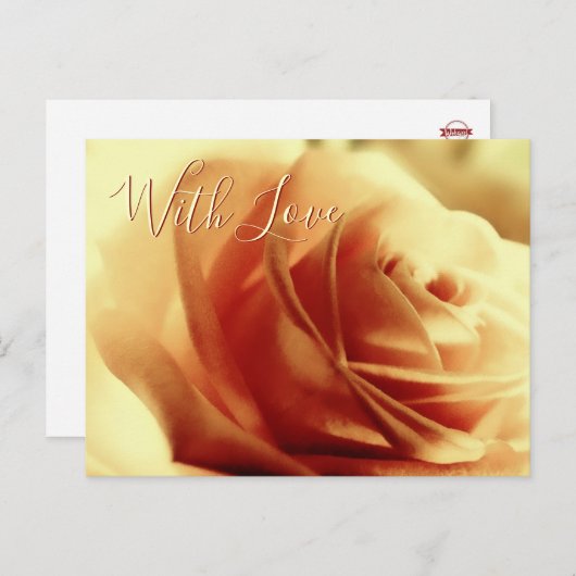 Liefde Roos Bloem Briefkaart (Voorkant / Achterkant)