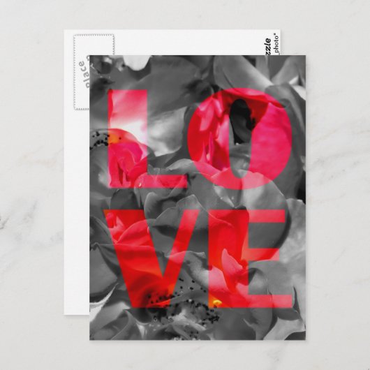 Liefde Roos Briefkaart (Voorkant / Achterkant)