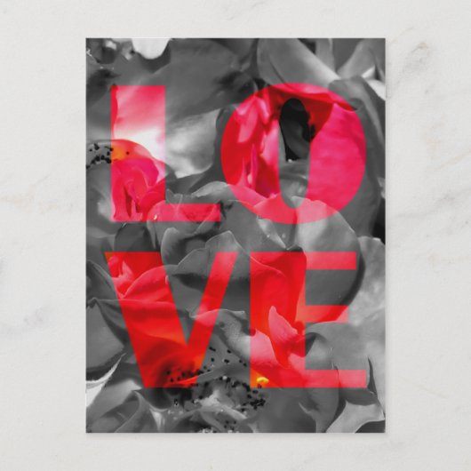 Liefde Roos Briefkaart (Voorkant)