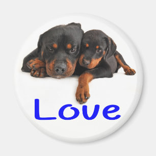 Liefde Rottweiler Bruine & Zwarte Hondenpup Magneet