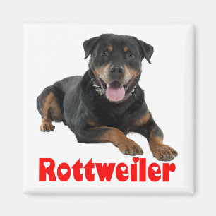 Liefde Rottweiler Bruine & Zwarte Puppy Hond Carto Magneet
