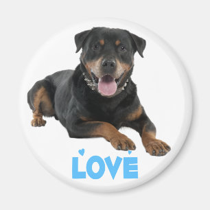 Liefde Rottweiler Bruine & Zwarte Puppy Hond Carto Magneet