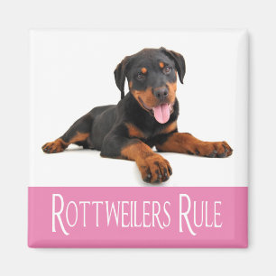 Liefde Rottweiler Puppy Dog Magneet