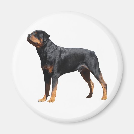 Liefde Rottweiler Puppy Dog Magneet (Voorkant)