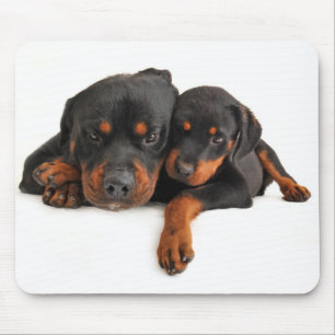 Liefde Rottweiler Puppy Hond Witte Muismat