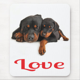 Liefde Rottweiler Puppy Hond Witte Muismat