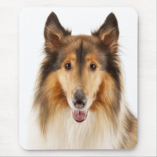 Liefde Rough Collie Puppy Hond Muismat