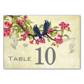  Liefde Roze Blauwgroen Blauw Groen Kaart (Voorkant)