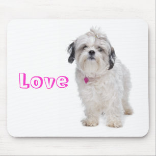 Liefde Shih Tzu Puppy Muismat