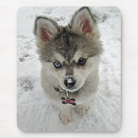 Liefde Siberian Husky Puppy Dog in Sneeuwmousepad Muismat (Voorkant)