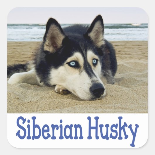 Liefde Siberische Husky Puppy Dog Groet Stickers (Voorkant)