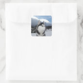 Liefde Siberische Husky Puppy Dog Groet Stickers (Tas)
