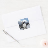 Liefde Siberische Husky Puppy Dog Groet Stickers (Envelop)