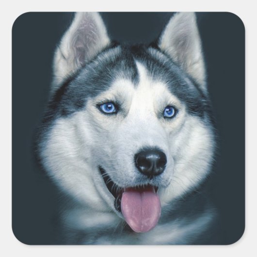 Liefde Siberische Husky Puppy Dog Groet Stickers (Voorkant)