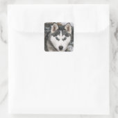 Liefde Siberische Husky Puppy Dog Groet Stickers (Tas)