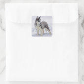 Liefde Siberische Husky Puppy Dog Groet Stickers (Tas)