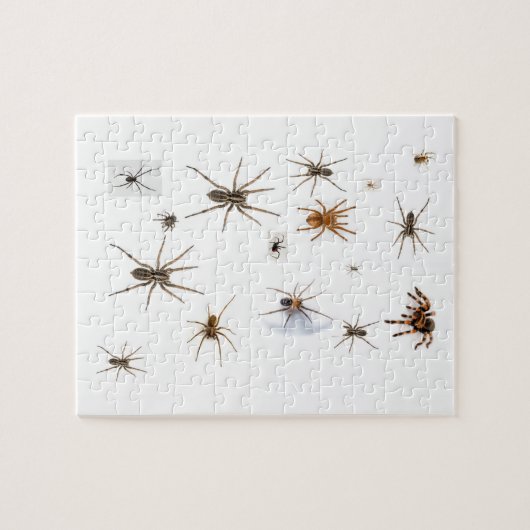 Liefde Spiders! Legpuzzel (Horizontaal)