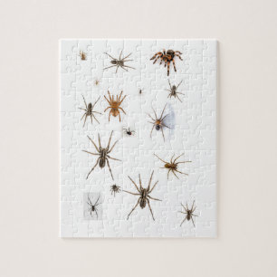 Liefde Spiders! Legpuzzel