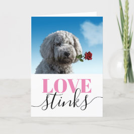 Liefde Stinkt Grappige Foto Valentijnsdag Feestdagen Kaart