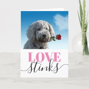 Liefde Stinkt Grappige Foto Valentijnsdag Feestdagen Kaart