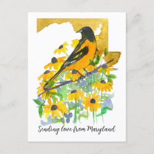 Liefde sturen Maryland Baltimore Oriole Bloemen Briefkaart