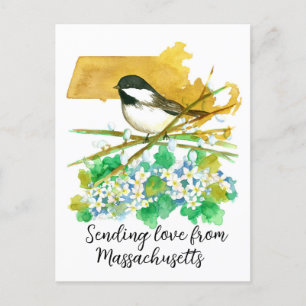 Liefde sturen Massachusetts Chickadee Mayflower Briefkaart