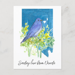 Liefde sturen Nevada Bluebird Sagebrush Briefkaart