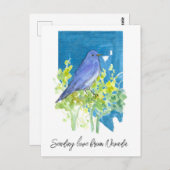 Liefde sturen Nevada Bluebird Sagebrush Briefkaart (Voorkant / Achterkant)