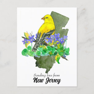 Liefde sturen New Jersey Goldfinch Violets Briefkaart