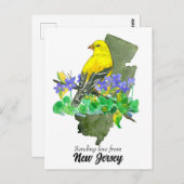 Liefde sturen New Jersey Goldfinch Violets Briefkaart (Voorkant / Achterkant)