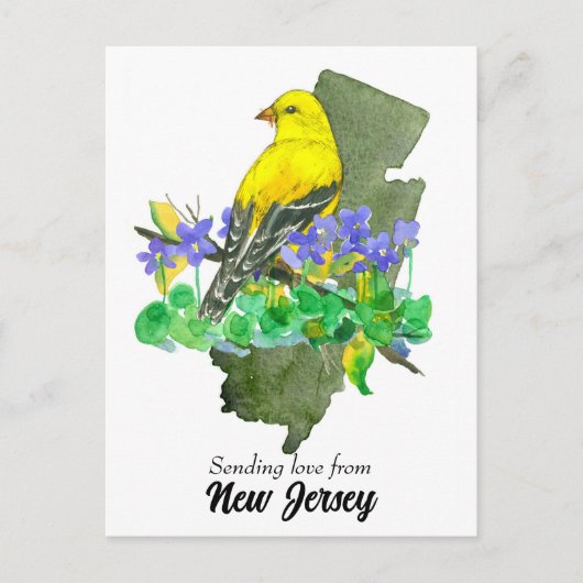 Liefde sturen New Jersey Goldfinch Violets Briefkaart (Voorkant)