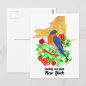 Liefde sturen New York Bluebird Red Roses Briefkaart (Voorkant / Achterkant)