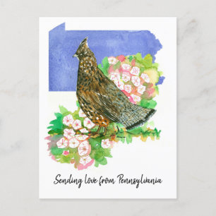 Liefde sturen Pennsylvania Grouse Mountain Laurel  Briefkaart