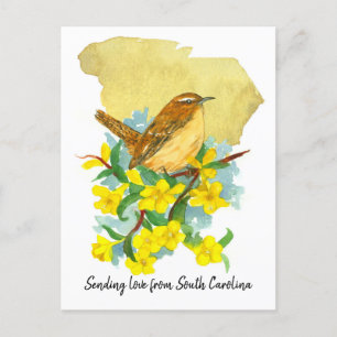 Liefde sturen South Carolina Wren Jessamine Briefkaart