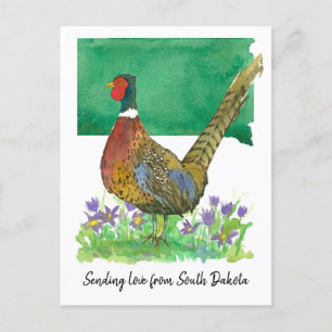 Liefde sturen South Dakota Pheasant Pasque Flower Briefkaart